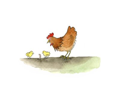 Huhn mit Küken Illustration